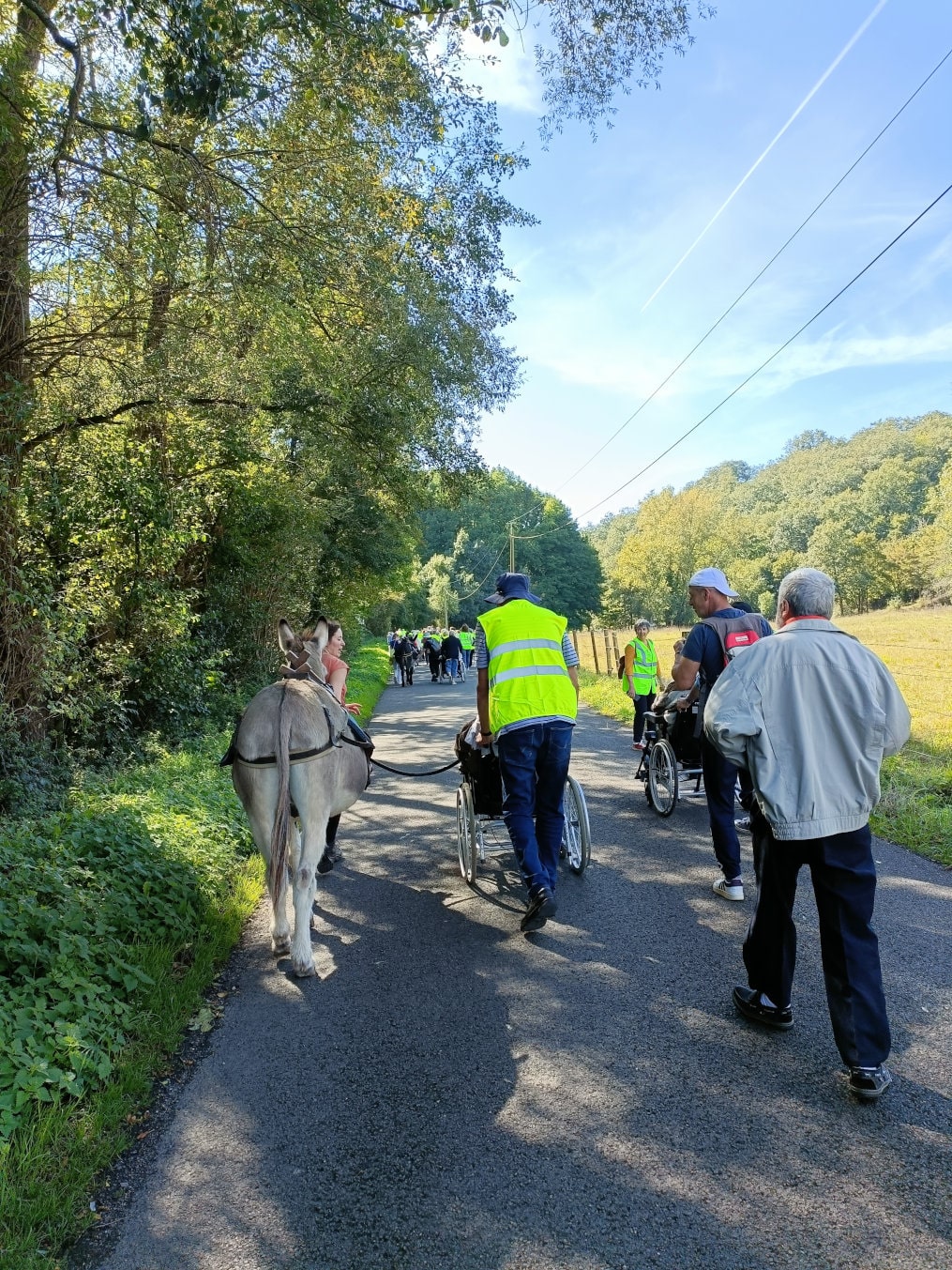 Des ânes à la Marche solidaire